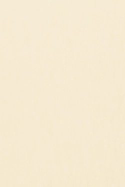 Lamellenmuster B0791