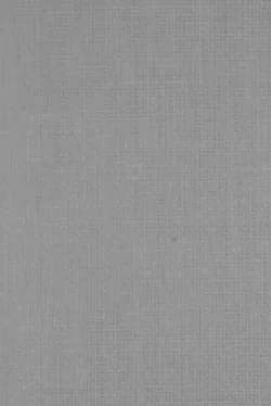 Lamellenmuster B3564