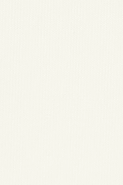 Lamellenmuster B0789